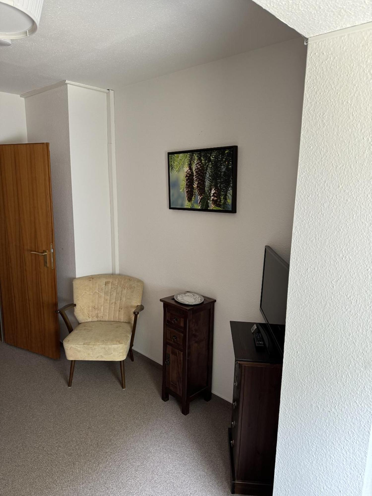 Hotel Silberfelsen Menzenschwand-Hinterdorf エクステリア 写真